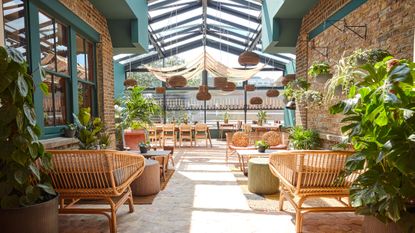 b_together lounge with plants and rattan chairs