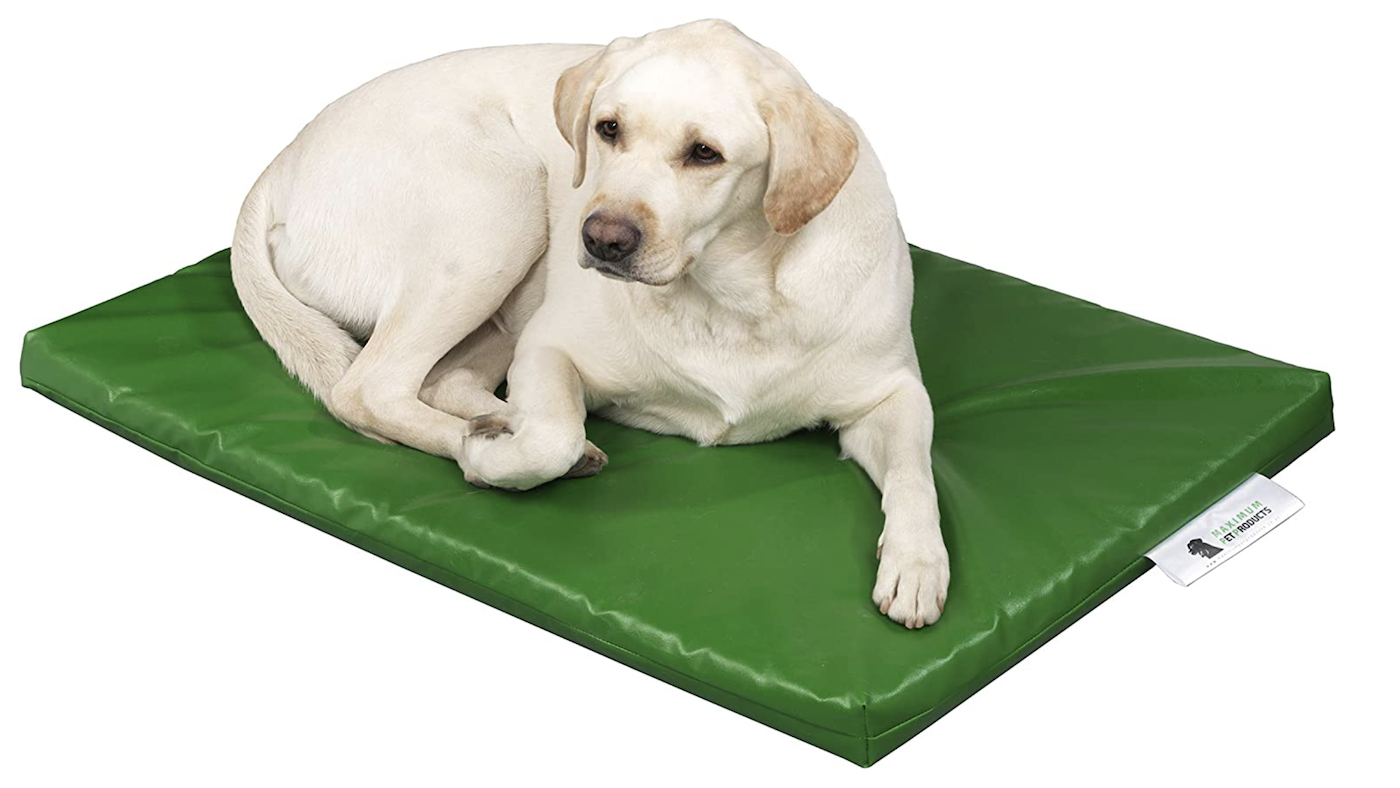Yellow labrador on green tough dog bed for chewers