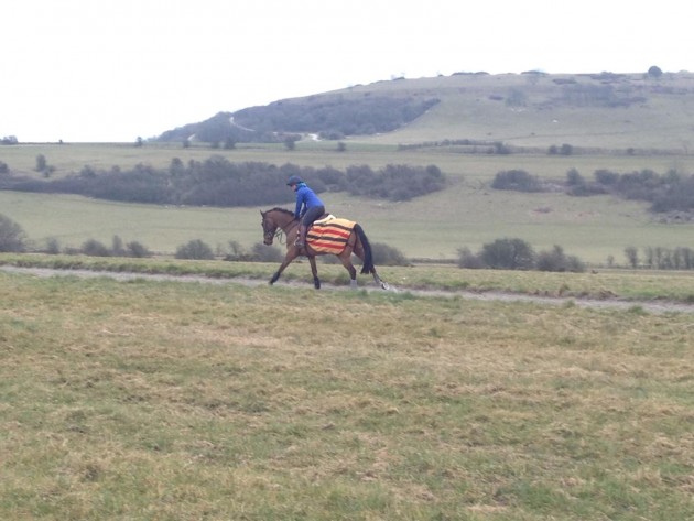 Hilly on the gallops