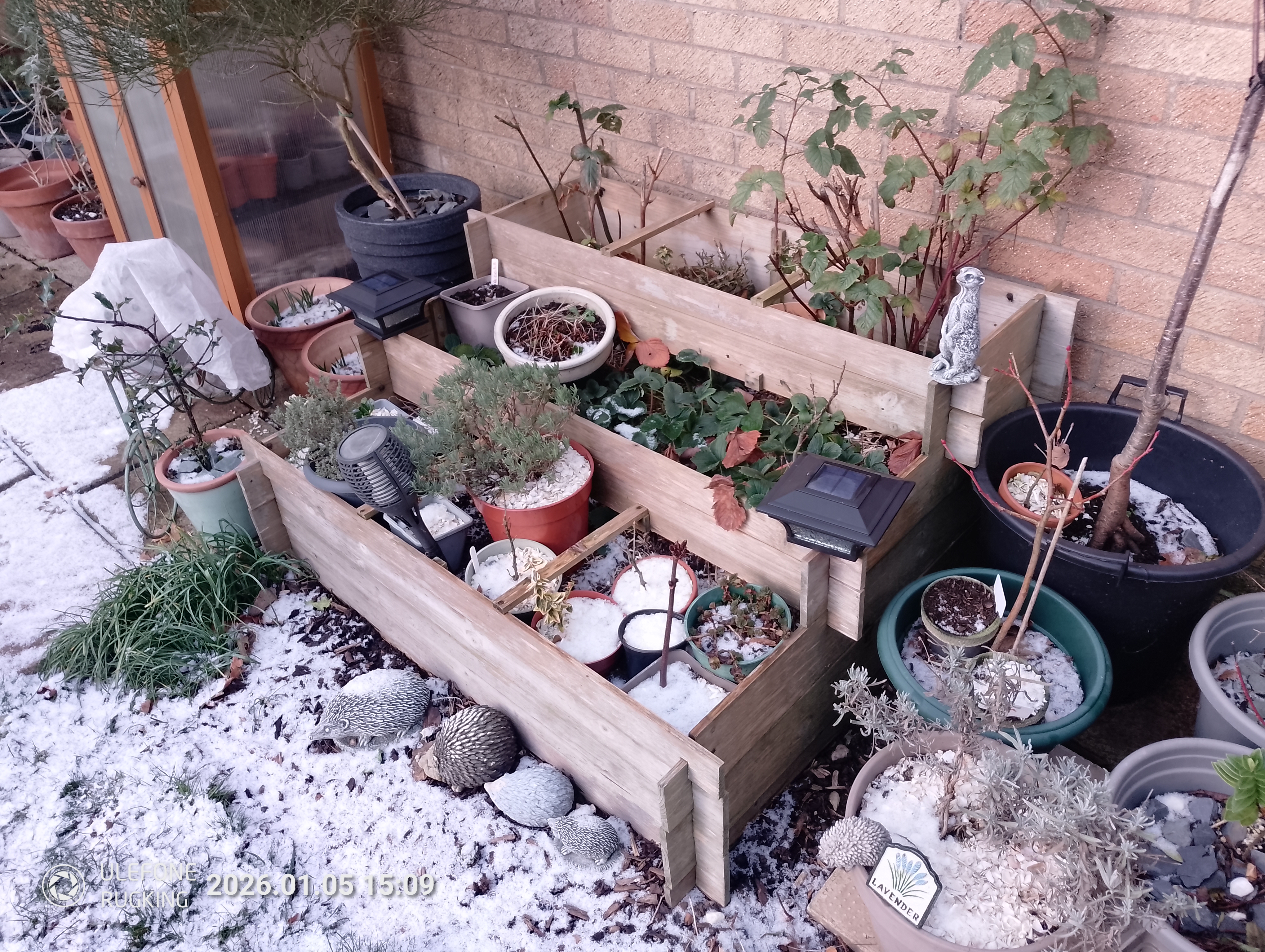 Ulefone Rugking camera examples