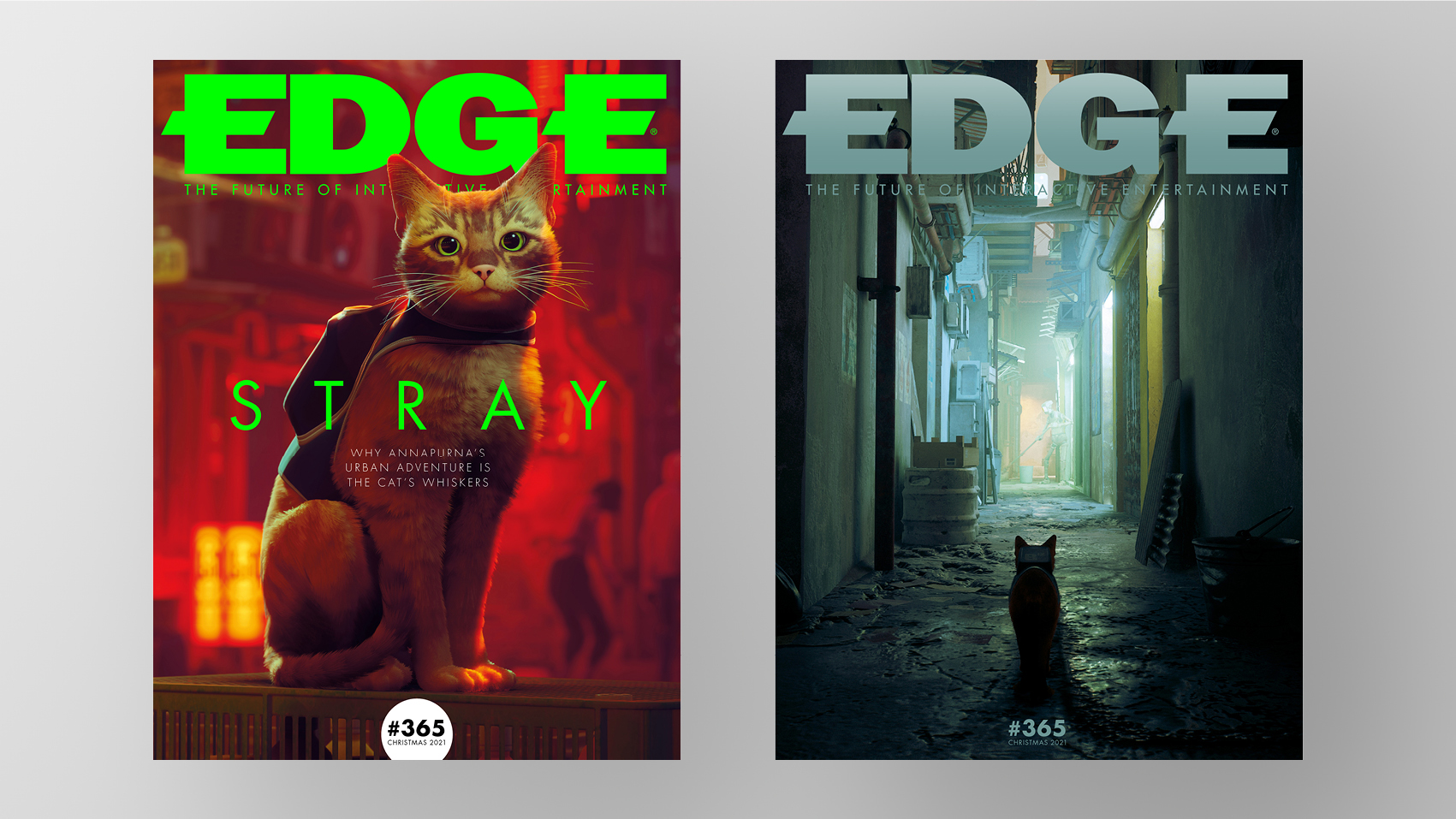Kitty powers: in Edge 365, find out why Stray’s feline star makes for an urban action-adventure like no other