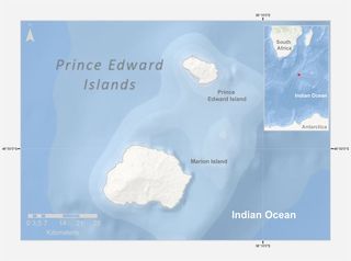 Marion Island, where a colony of southern elephant seals resides, is the bigger one of the two Prince Edward Islands in the southern Indian Ocean. It belongs to South Africa.