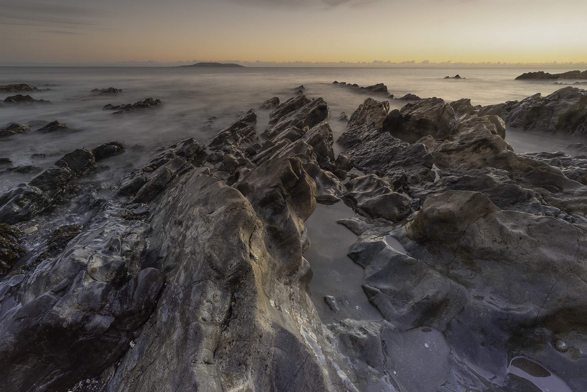 GuruShots - March 2026