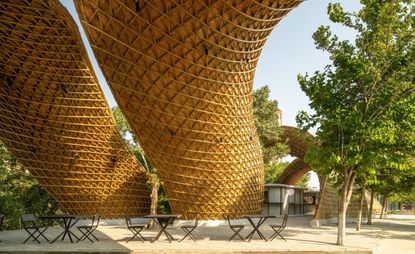 the hungry caterpillar sonipat