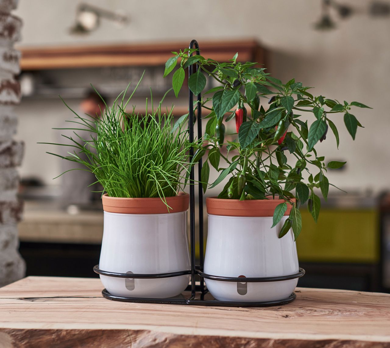 Top five self watering planters