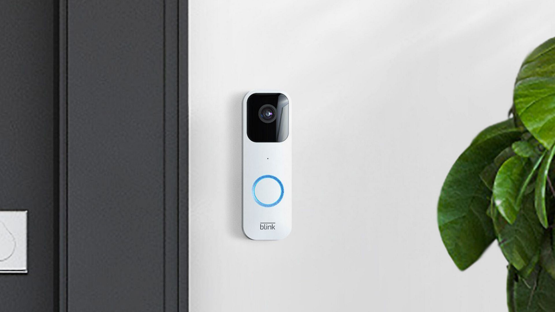 Blink vs Ring — Our Reviewer's Choice of Video Doorbells Livingetc