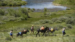 Racers and their burros make their way towards Mosquito pass