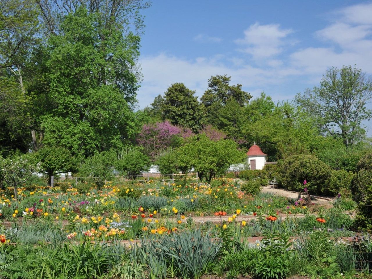 A beautiful blooming garden at Mt. Vernon