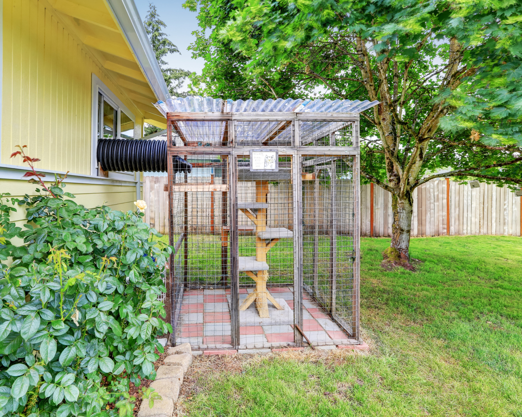 catio in backyard