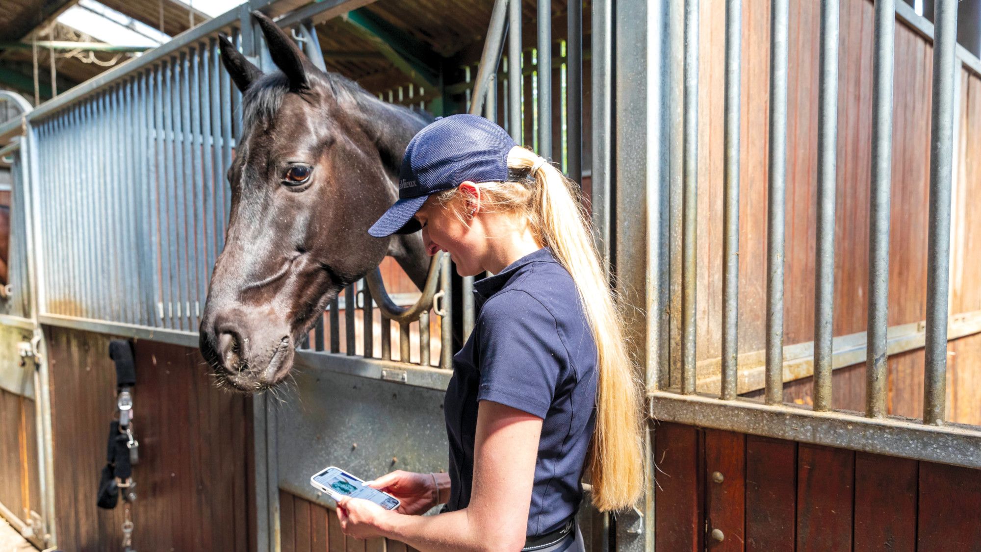 Steps to protect riders from online abuse during Aachen World Championships