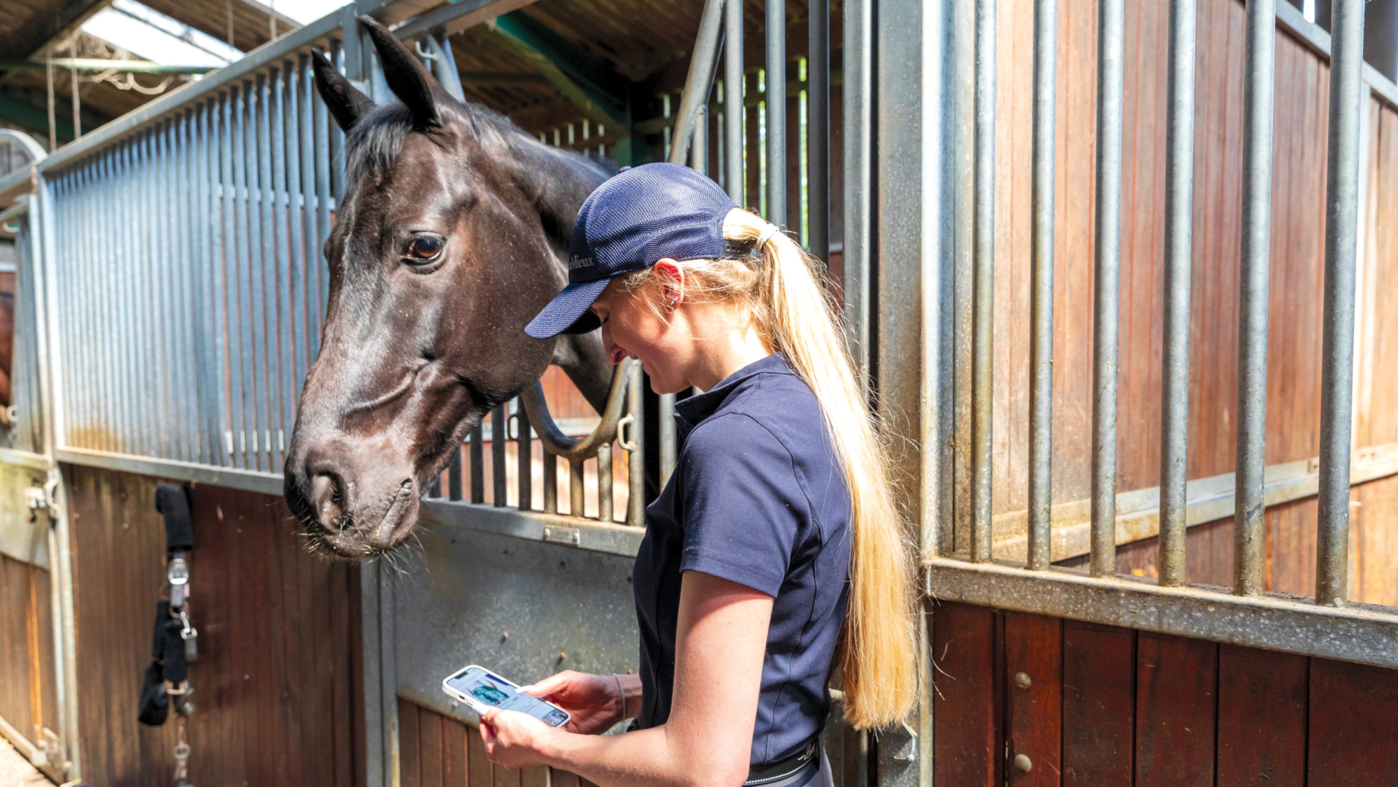 Pictured a rider looking at social media on their mobile phone. The FEI and Signify have launched an initiative to protect riders from online abuse during the World Championships.