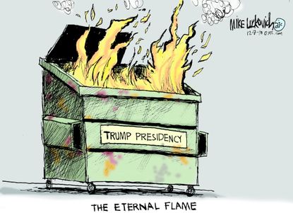 Political cartoon U.S. Trump presidency dumpster trash eternal flame