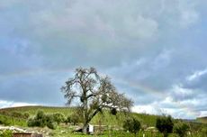 Rainbow over Tablas Creek.