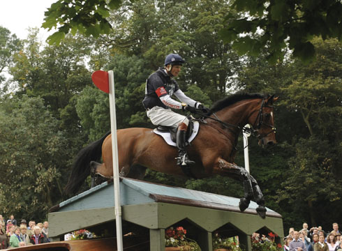 2011: William Fox-Pitt and Parklane Hawk