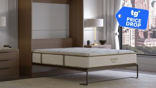 The Saatva Murphy Bed in a luxury apartment setting overlooking a city. In the top right foreground, there is a deals badge.