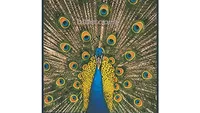 The Bluetones: Expecting to Fly (1996)