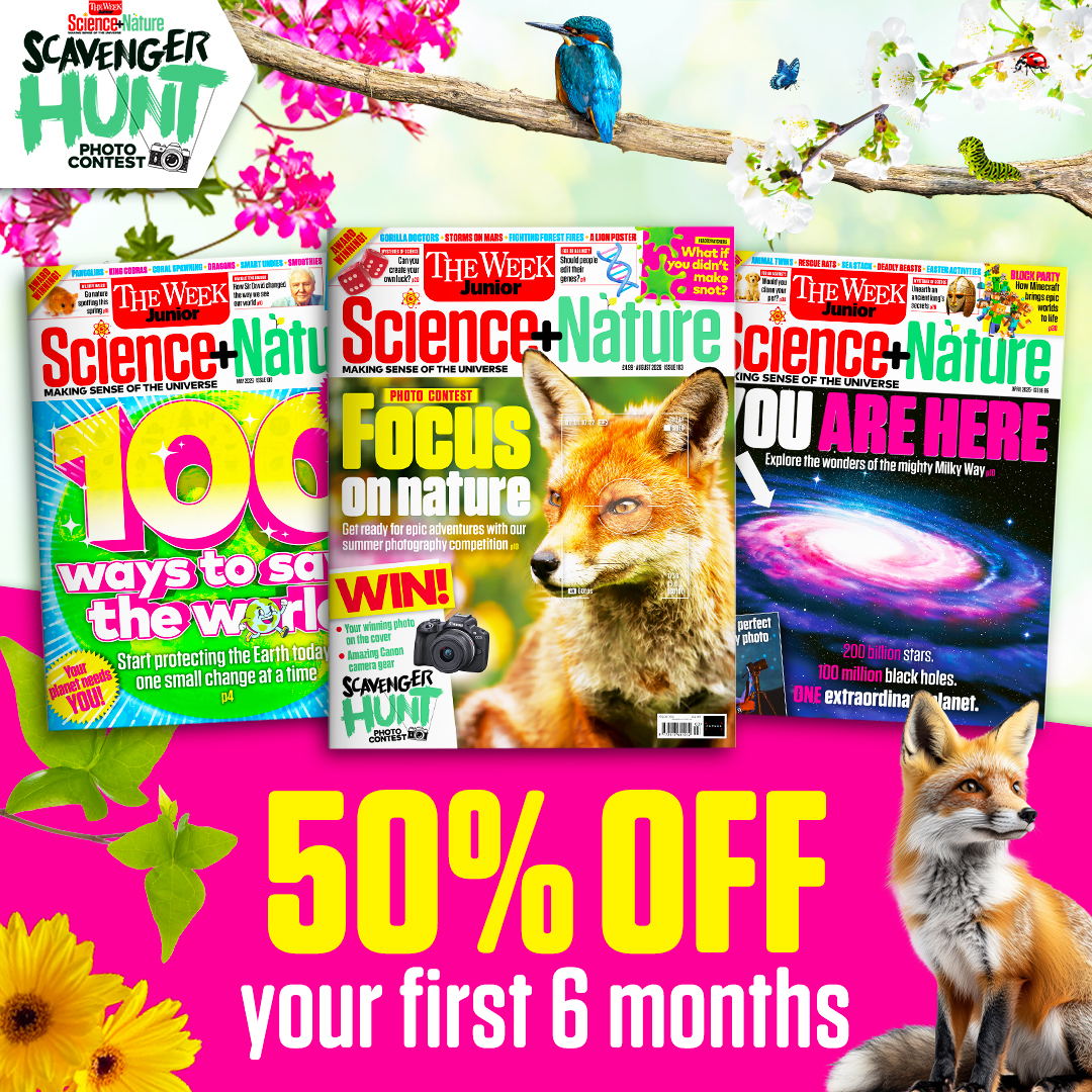 50% off subs offer