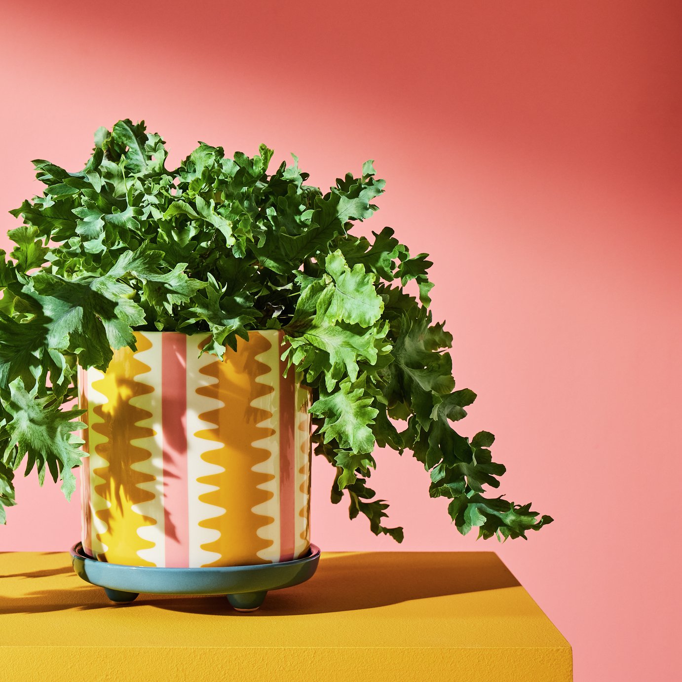Habitat Stripe Ceramic Yellow Planter With Saucer