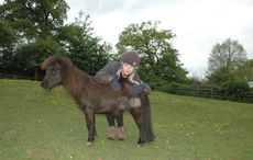 Chloe.jpg