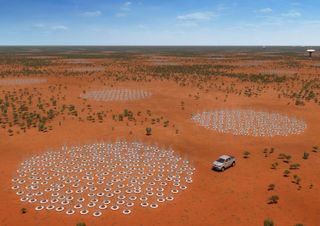 An artist's illustration of the low-frequency radio antennas to be built in Australia as part of the Square Kilometer Array radio telescope project.