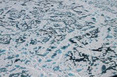 arctic-ice-melt-ponds