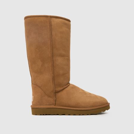 Ugg Classic Tall Ii in Chestnut