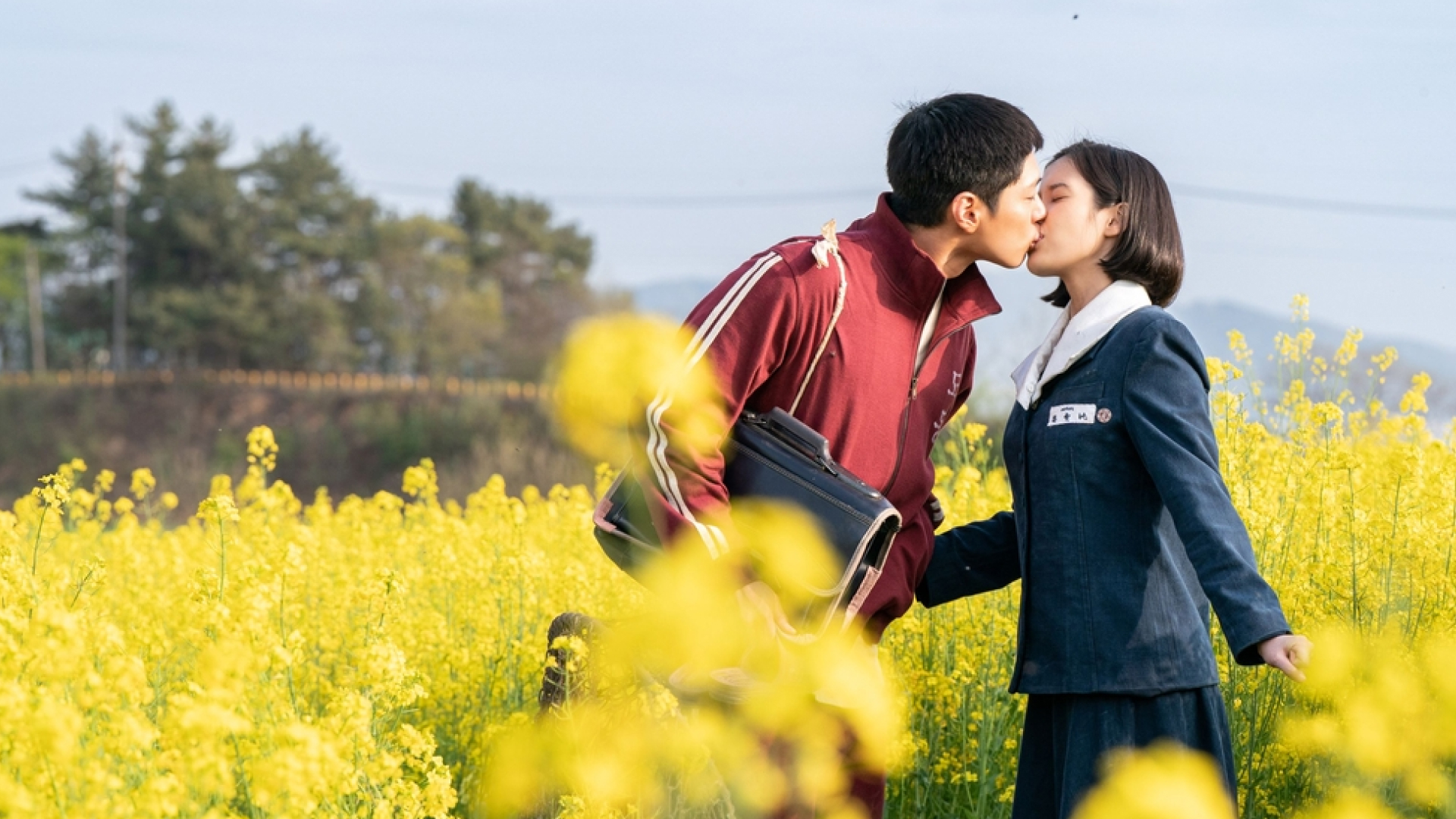 a couple kisses in a field surrounded by yellow flowers in when life gives you tangerines