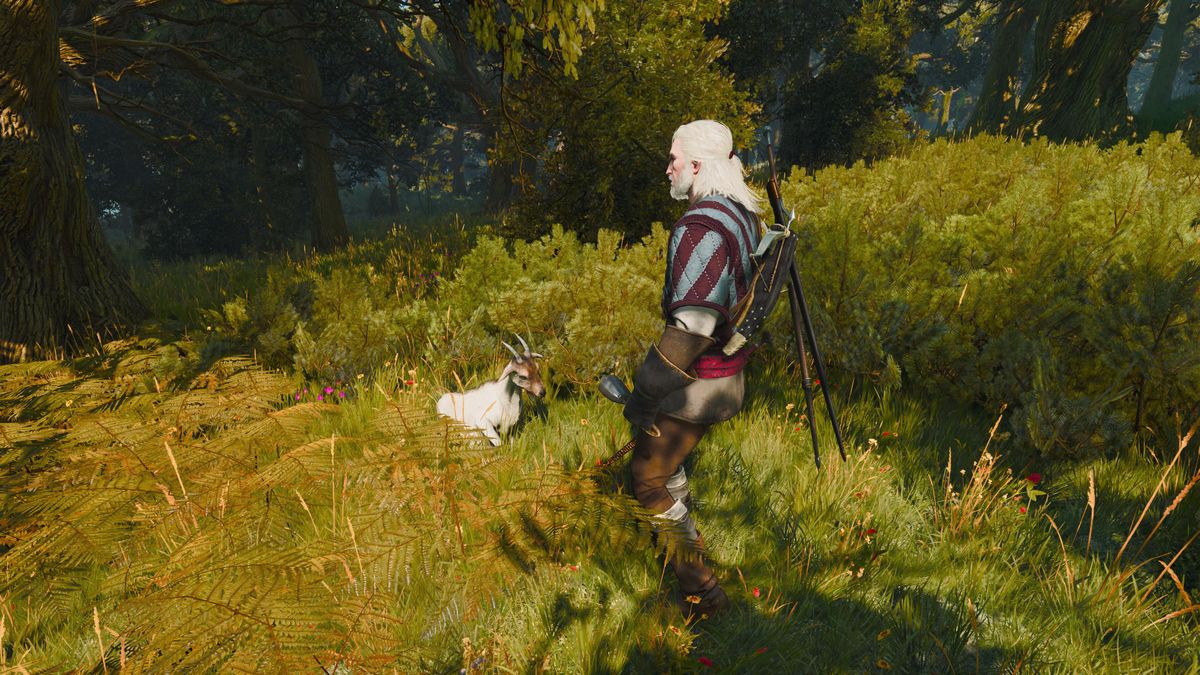The witcher 3 the pellar