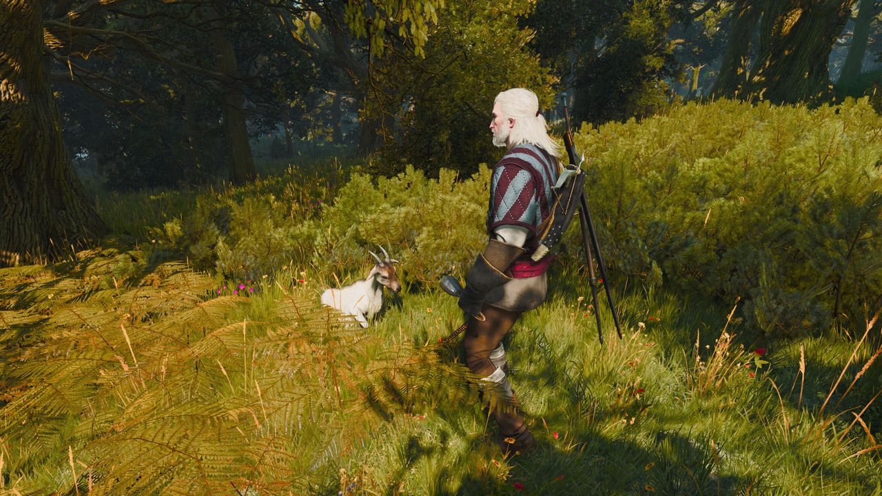The witcher 3 the pellar