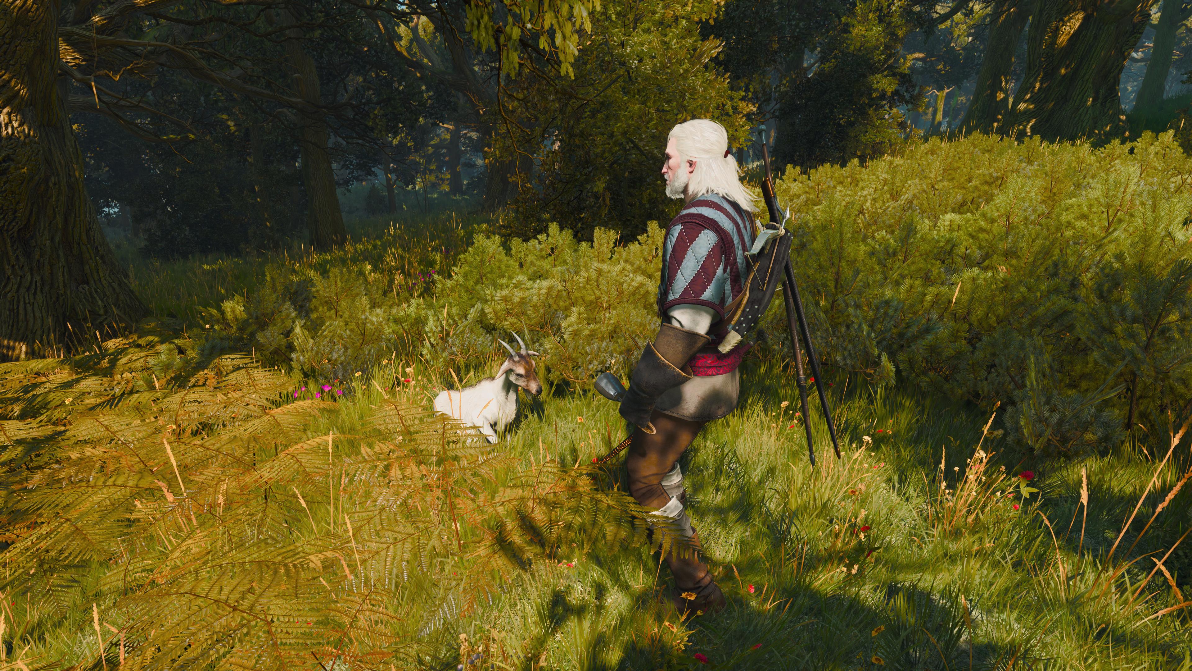 The witcher 3 the pellar