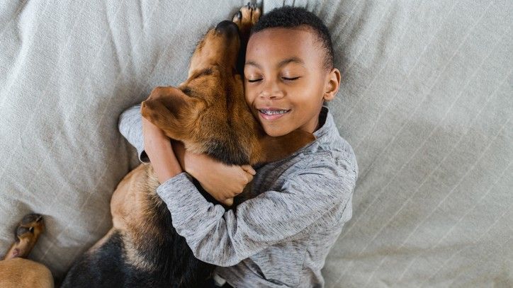 bonnie's pampered pets