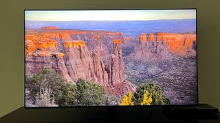 Samsung-QN95C TV showing canyon onscreen