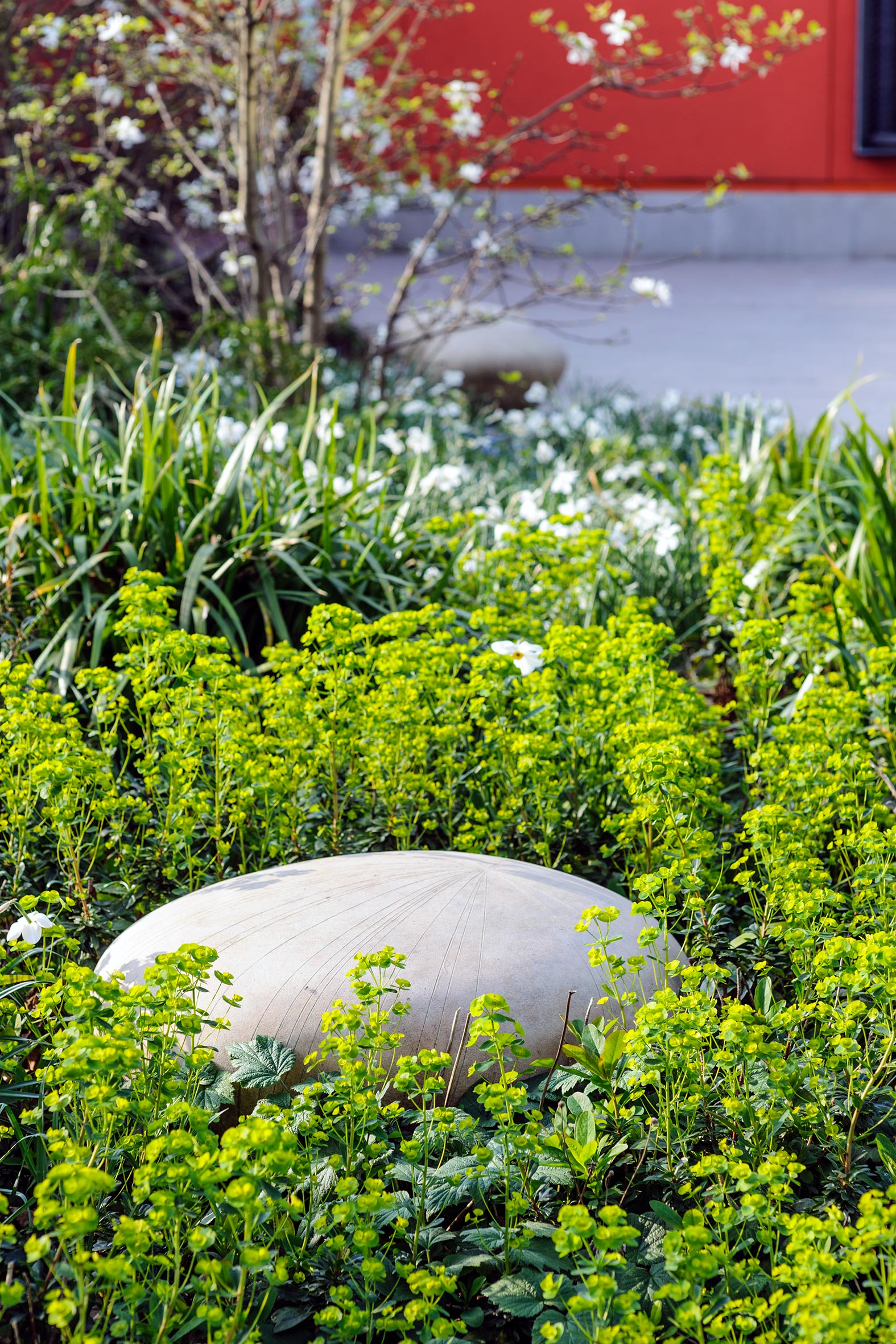 Maggie&#039;s West London, an orange structure and its mature garden