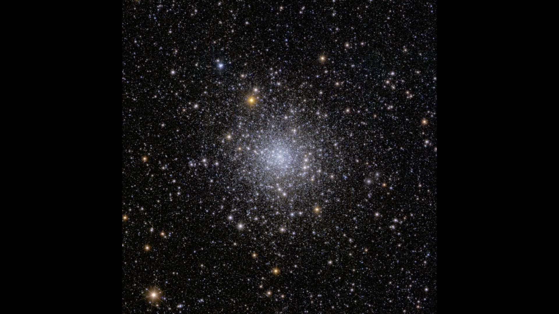 The full image captured by Euclid.