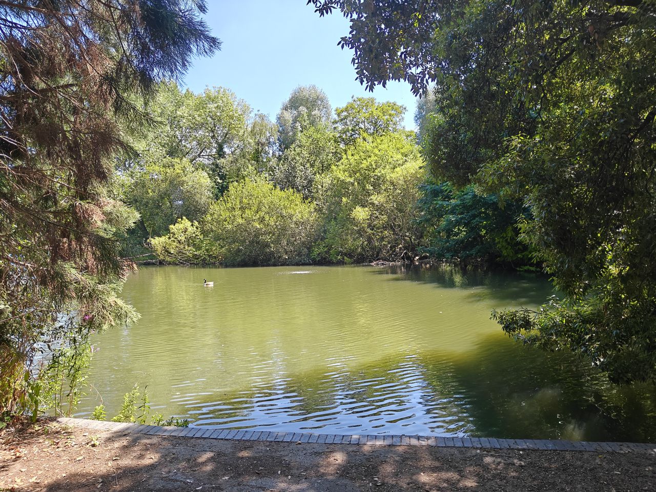 Ett fotoexempel taget med OnePlus Nord 5.