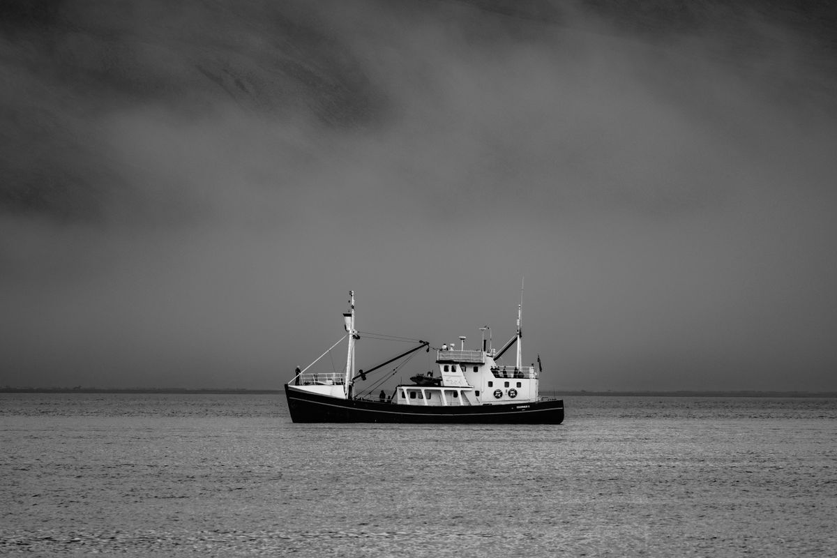 GuruShots - Powerful Black &amp; White Jan 26