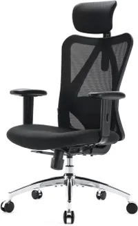 Sihoo M18 Ergonomic Office Chair