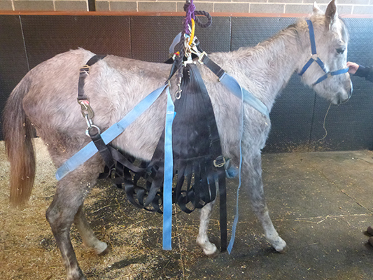 Emerald 3.2.16 sling (2)