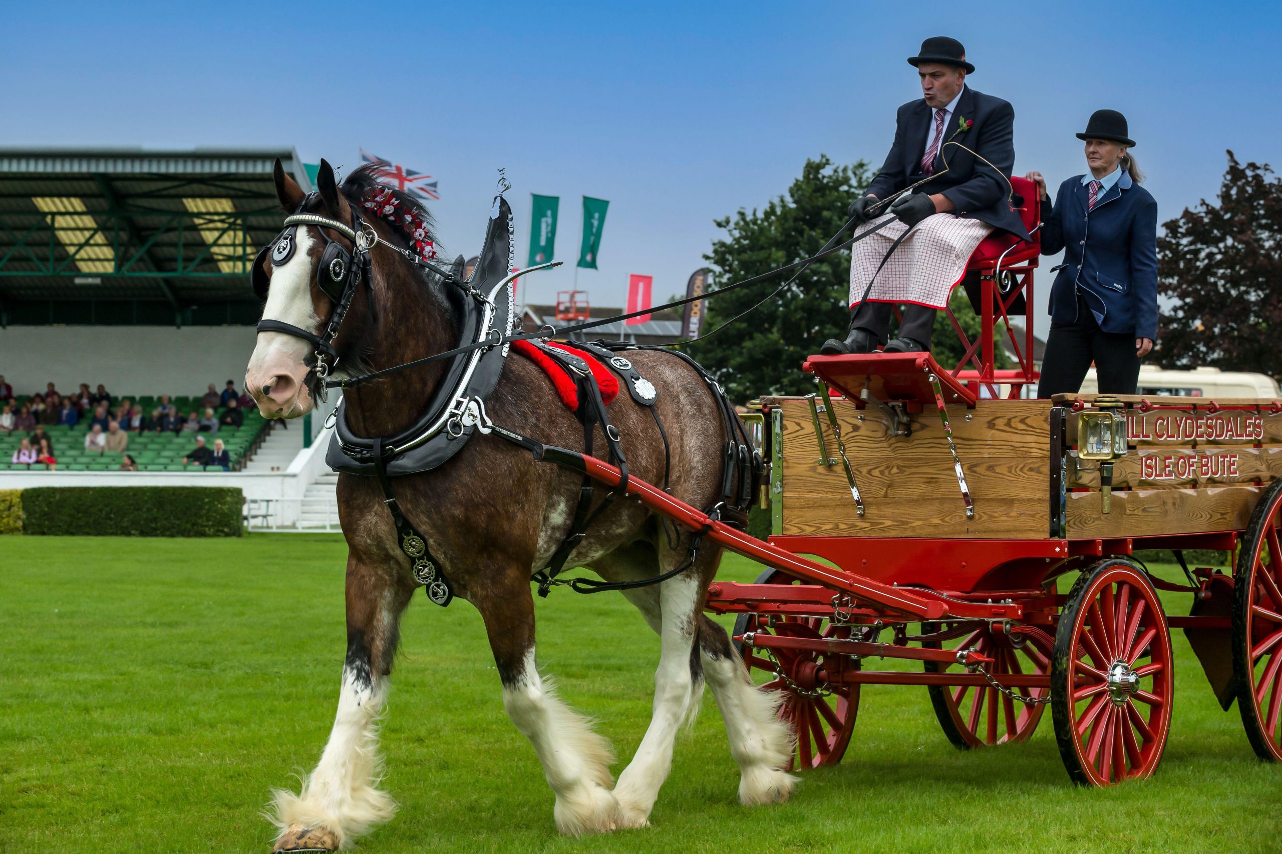 Clydesdale pulling a cart