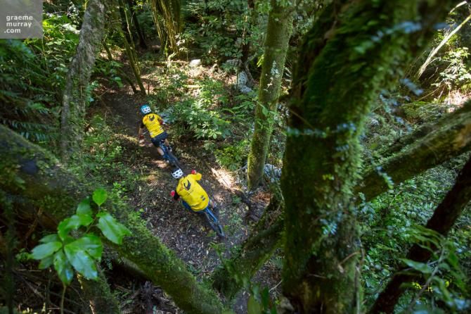 Riding with Syd in the greenery of Rotorua