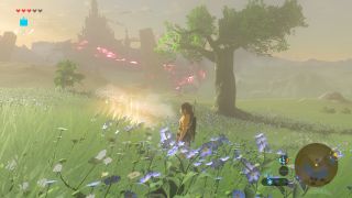 Link at the spot in Hyrule for the Irch Plain Breath of the Wild Captured Memories collectible