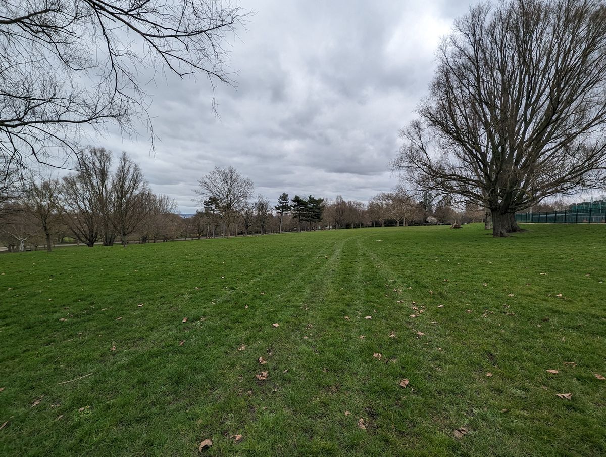 Google Pixel 7 Pro sample images
