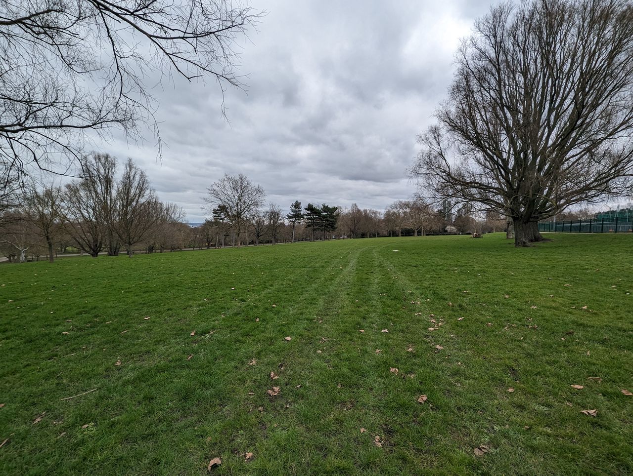Google Pixel 7 Pro sample images