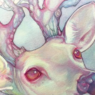 Detail of watercolour deer eyes