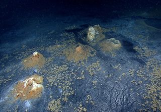 Salt volcanoes leaking oily brine in the Gulf of Mexico.