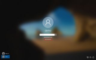 Windows 10 reset local password option
