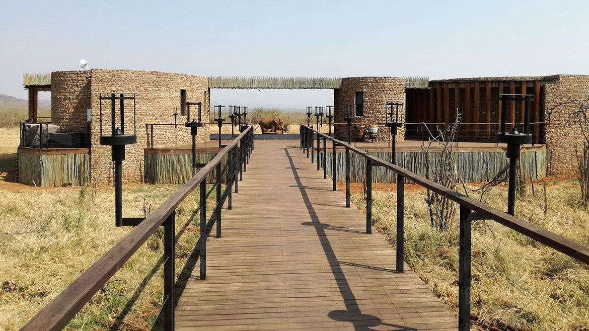 Review: Morukuru Farm House, Madikwe – in search of lions