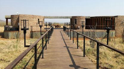 An elephant at Morukuru Farm House