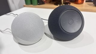 Amazon Echo Dot 5th Gen vs Echo Dot Max on table