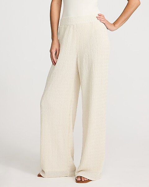 express, Textured Pants